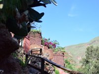 Boudry Andy - Gran Canaria  (55) : Boudry Andy - Gran Canaria